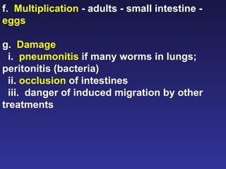 f.  Multiplication  - adults - small intestine -  eggs g.  Damage   i.  pneumonitis  if many worms in lungs; peritonitis (bacteria) ii.  occlusion  of intestines iii.  danger of induced migration by other treatments 