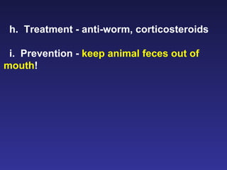 h.  Treatment - anti-worm, corticosteroids i.  Prevention -  keep animal feces out of mouth ! 