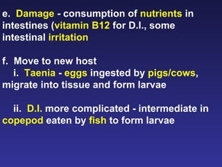 e.  Damage  - consumption of  nutrients  in intestines ( vitamin B12  for D.l., some intestinal  irritation f.  Move to new host i.  Taenia  -  eggs  ingested by  pigs/cows , migrate into tissue and form larvae ii.  D.l.  more complicated - intermediate in  copepod  eaten by  fish  to form larvae 