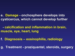 e.  Damage  - onchosphere develops into cysticercus, which cannot develop further -  calcification and inflammation in brain, muscle, eye, heart, lung f.  Diagnsosis – eosinophilia, radiology g.  Treatment - praziquantel, steroids, surgery 