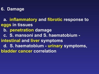 6.  Damage  a.  inflammatory  and  fibrotic  response to  eggs  in tissues b.  penetration  damage c.  S. mansoni and S. haematobium -  intestinal  and  liver  symptoms d.  S. haematobium -  urinary  symptoms,  bladder   cancer  correlation 
