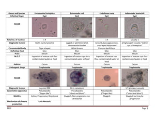 MGS Page 1
Genus and Species Entamoeba histolytica Entamoeba coli Endolimax nana Iodamoeba buetschlii
Infective Stage: Cyst Cyst Cyst Cyst
IMAGE
Total no. of nucleus 1-4 1-8 1-4 Usually 1
Diagnostic feature Bull’s eye karyosome Jagged or splintered ends
chromatoidal bodies
Ground glass appearance;
cross-eyed karyosome
2/3 glycogen vacuole; “Iodine
cyst of Wenyoun”
Chromatoidal body Cigar-shaped Whisk broom Comma-bacilliform
Definitive Host Man Man Man Man
P.O.E Mouth Mouth Mouth Mouth
M.O.T Ingestion of mature cyst thru
contaminated water or food
Ingestion of mature cyst thru
contaminated water or food
Ingestion of mature cyst
thru contaminated water or
food
Ingestion of mature cyst thru
contaminated water or food
Habitat Cecum Cecum Cecum Cecum
Pathogenic Stage Trophozoite Trophozoite Trophozoite Trophozoite
IMAGE
Diagnostic feature Ingested RBC Dirty cytoplasm 1/3 glycogen vacuole
Locomotive apparatus Pseudopodia
(“finger-like”)
Pseudopodia
(“short and blunt”)
Pseudopodia
(“finger-like)
Pseudopodia
(“short and blunt”)
Motility Active, Progressive, Directional Sluggish, Non-progressive nor
directional
Sluggish Sluggish but may be
progressive
Mechanism of disease
production
Lytic Necrosis
 