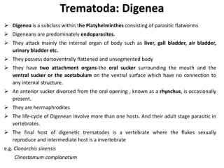 Trematoda: Digenea
 Digenea is a subclass within the Platyhelminthes consisting of parasitic flatworms
 Digeneans are predominately endoparasites.
 They attack mainly the internal organ of body such as liver, gall bladder, air bladder,
urinary bladder etc.
 They possess dorsoventrally flattened and unsegmented body
 They have two attachment organs-the oral sucker surrounding the mouth and the
ventral sucker or the acetabulum on the ventral surface which have no connection to
any internal structure.
 An anterior sucker divorced from the oral opening , known as a rhynchus, is occasionally
present.
 They are hermaphrodites
 The life-cycle of Digenean involve more than one hosts. And their adult stage parasitic in
vertebrates.
 The final host of digenetic trematodes is a vertebrate where the flukes sexually
reproduce and intermediate host is a invertebrate
e.g. Clonorchis sinensis
Clinostomum complanatum
 