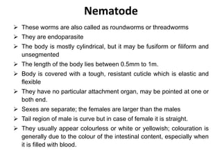 Nematode
 These worms are also called as roundworms or threadworms
 They are endoparasite
 The body is mostly cylindrical, but it may be fusiform or filiform and
unsegmented
 The length of the body lies between 0.5mm to 1m.
 Body is covered with a tough, resistant cuticle which is elastic and
flexible
 They have no particular attachment organ, may be pointed at one or
both end.
 Sexes are separate; the females are larger than the males
 Tail region of male is curve but in case of female it is straight.
 They usually appear colourless or white or yellowish; colouration is
generally due to the colour of the intestinal content, especially when
it is filled with blood.
 