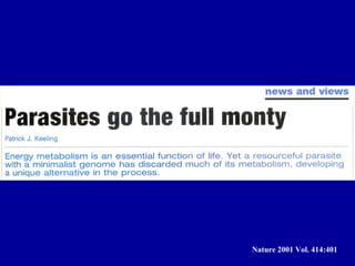 Nature 2001 Vol. 414:401
 