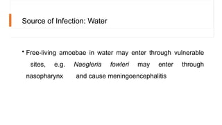 Paraby PARASITOLOGY AND VIROLOGY power point .pptx