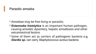 Paraby PARASITOLOGY AND VIROLOGY power point .pptx