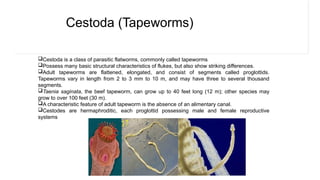 Paraby PARASITOLOGY AND VIROLOGY power point .pptx