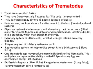 Characteristics of Trematodes
• These are also called flukes
• They have Dorso-ventrally flattened leaf like body ( unsegmented )
• They don't have body cavity and body is covered by cuticle
• Have suckers, hooks or clamps for attachment to the host ( Ventral and oral
suckers)
• Digestive system includes mouth and alimentary tract but no anus (blind
alimentary tract). Mouth leads into pharynx and intestine. Intestine divides
into 2 branches, which may branch themselves.
• Excretory system has flame cells, which discharges into an excretory
bladder.
• Respiratory and circulatory systems absent
• Reproductive system hermaphrodite except Family Schistosoma ( Blood
fluke)
• One Trematode egg may produce many individuals unlike Nematoda. This
multiplicative reproductive ability is called Polyembryony. Egg are
operculated except schistosoma
• Ex: Fasciola hepatica ( Liver fluke); Paragonimus westermani ( Lung fluke);
Paramphistomum cervi ( Rumen fluke)
 