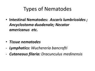 Types of Nematodes
• Intestinal Nematodes: Ascaris lumbricoides ;
Ancyclostoma duodenale; Necator
americanus etc.
• Tissue nematodes
- Lymphatics: Wuchereria bancrofti
- Cutaneous filaria: Dracunculus medinensis
 
