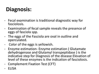 Diagnosis:
- Fecal examination is traditional diagnostic way for
fasciolosis.
- Examination of fecal sample reveals the presence of
eggs of fasciola spp.
- The eggs of the Fasciola are oval in outline and
operculated.
- Color of the eggs is yellowish.
- Enzyme estimation- Enzyme estimation ( Glutamate
dehydrogenase and Glutamyl transpeptidase ) is the
indicative step for Diagnosis of the disease Elevation of
level of these enzymes is the indication of fasciolosis.
- Complement Fixation Test (CFT)
- ELISA
 