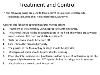 Treatment and Control
- The following drugs are used to treat against Fasiola spp: Oxyclozanide,
Triclabendazole, Bithionol, Hexachlorethane, Nitroxynil
Control: The following control measures may be taken:
1. Treatment of the animal by using appropriate anthelminthics.
2. The animal should not be allowed to graze in the field of low land areas where
water reservoir like river, pond, lake are present.
3. Water reservoir should be fenced off.
4. Faces should be disposed properly.
5. The grasses in the form of hay or silage should be provided
6. Underground water should be provided for drinking .
7. Control of intermediate host ( mollusca) is done by use of molluscidal agent like
copper sulphate solution and N-Tritylmorpholine in spring and mid summer.
8. Vaccination is a recent trend for control.
 
