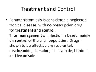 Treatment and Control
• Paramphistomiasis is considered a neglected
tropical disease, with no prescription drug
for treatment and control.
Thus management of infection is based mainly
on control of the snail population. Drugs
shown to be effective are resorantel,
oxyclozanide, clorsulon, niclosamide, bithional
and levamisole.
 