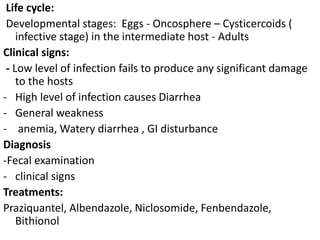 Life cycle:
Developmental stages: Eggs - Oncosphere – Cysticercoids (
infective stage) in the intermediate host - Adults
Clinical signs:
- Low level of infection fails to produce any significant damage
to the hosts
- High level of infection causes Diarrhea
- General weakness
- anemia, Watery diarrhea , GI disturbance
Diagnosis
-Fecal examination
- clinical signs
Treatments:
Praziquantel, Albendazole, Niclosomide, Fenbendazole,
Bithionol
 
