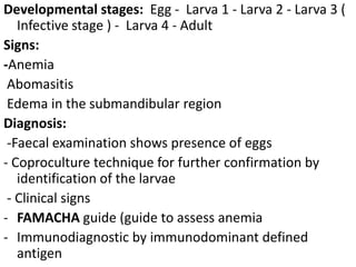 Developmental stages: Egg - Larva 1 - Larva 2 - Larva 3 (
Infective stage ) - Larva 4 - Adult
Signs:
-Anemia
Abomasitis
Edema in the submandibular region
Diagnosis:
-Faecal examination shows presence of eggs
- Coproculture technique for further confirmation by
identification of the larvae
- Clinical signs
- FAMACHA guide (guide to assess anemia
- Immunodiagnostic by immunodominant defined
antigen
 