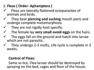 2. Fleas ( Order- Aphaniptera )
 Fleas are laterally flattened ectoparasites of
animals and birds.
 They bear piercing and sucking mouth parts and
undergo complete metamorphosis.
 They are not rigidly host specific.
 The female lay very small ovoid eggs on the hairs.
 The eggs fall on the ground and hatch into larvae
which are not parasitic.
 They undergo 2-3 molts, Life cycle is complete in 3
weeks.
Control of Fleas:
Same as lice. Flea larvae should be destroyed by
spraying on the bed, cages and floor of the house.
 