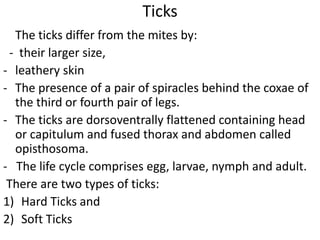 Ticks
The ticks differ from the mites by:
- their larger size,
- leathery skin
- The presence of a pair of spiracles behind the coxae of
the third or fourth pair of legs.
- The ticks are dorsoventrally flattened containing head
or capitulum and fused thorax and abdomen called
opisthosoma.
- The life cycle comprises egg, larvae, nymph and adult.
There are two types of ticks:
1) Hard Ticks and
2) Soft Ticks
 