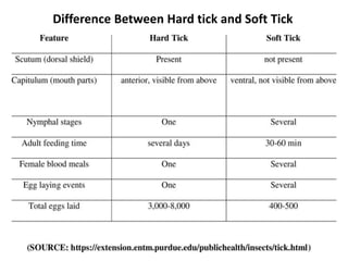 Difference Between Hard tick and Soft Tick
 