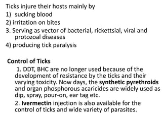 Ticks injure their hosts mainly by
1) sucking blood
2) irritation on bites
3. Serving as vector of bacterial, rickettsial, viral and
protozoal diseases
4) producing tick paralysis
Control of Ticks
1. DDT, BHC are no longer used because of the
development of resistance by the ticks and their
varying toxicity. Now days, the synthetic pyrethroids
and organ phosphorous acaricides are widely used as
dip, spray, pour-on, ear tag etc.
2. Ivermectin injection is also available for the
control of ticks and wide variety of parasites.
 