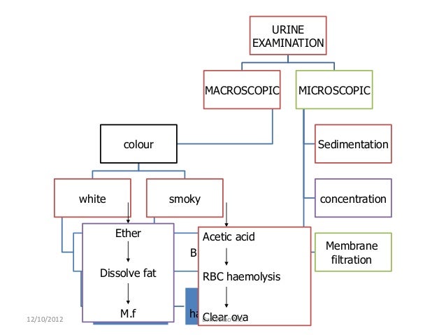 blood composition and of urine INFECTIONS PARASITIC