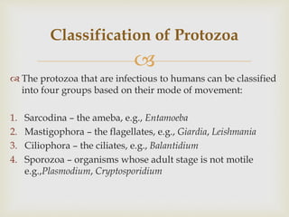 
 The protozoa that are infectious to humans can be classified
into four groups based on their mode of movement:
1. Sarcodina – the ameba, e.g., Entamoeba
2. Mastigophora – the flagellates, e.g., Giardia, Leishmania
3. Ciliophora – the ciliates, e.g., Balantidium
4. Sporozoa – organisms whose adult stage is not motile
e.g.,Plasmodium, Cryptosporidium
Classification of Protozoa
 