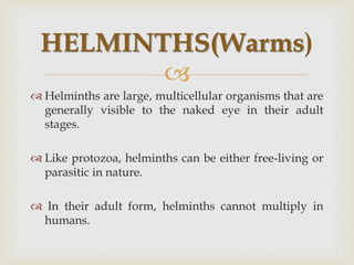 
 Helminths are large, multicellular organisms that are
generally visible to the naked eye in their adult
stages.
 Like protozoa, helminths can be either free-living or
parasitic in nature.
 In their adult form, helminths cannot multiply in
humans.
HELMINTHS(Warms)
 