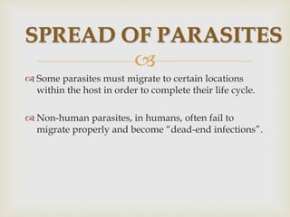 
 Some parasites must migrate to certain locations
within the host in order to complete their life cycle.
 Non-human parasites, in humans, often fail to
migrate properly and become “dead-end infections”.
SPREAD OF PARASITES
 