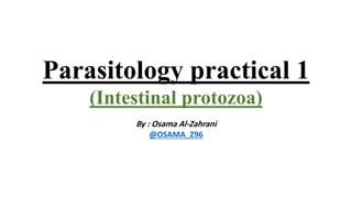 Parasitology practical 1
(Intestinal protozoa)
By : Osama Al-Zahrani
@OSAMA_Z96
 