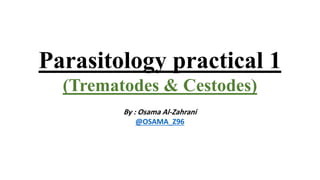 Parasitology practical 1
(Trematodes & Cestodes)
By : Osama Al-Zahrani
@OSAMA_Z96
 