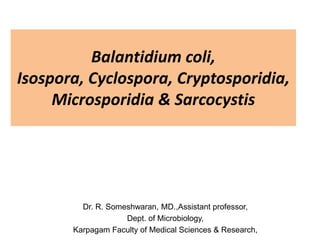 Balantidium coli,
Isospora, Cyclospora, Cryptosporidia,
Microsporidia & Sarcocystis
Dr. R. Someshwaran, MD.,Assistant professor,
Dept. of Microbiology,
Karpagam Faculty of Medical Sciences & Research,
 