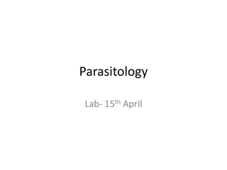 Parasitology Lab- 15th April  