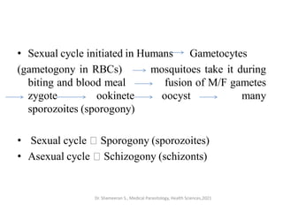• Sexual cycle initiated in Humans Gametocytes
(gametogony in RBCs) mosquitoes take it during
biting and blood meal fusion of M/F gametes
zygote ookinete oocyst many
sporozoites (sporogony)
• Sexual cycle Sporogony (sporozoites)
• Asexual cycle Schizogony (schizonts)
Dr. Shameeran S., Medical Parasitology, Health Sciences,2021
 