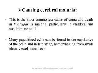 Causing cerebral malaria:
• This is the most commonest cause of coma and death
in P.falciparum malaria, particularly in children and
non immune adults.
• Many parasitized cells can be found in the capillaries
of the brain and in late stage, hemorrhaging from small
blood vessels can occur
Dr. Shameeran S., Medical Parasitology, Health Sciences,2021
 