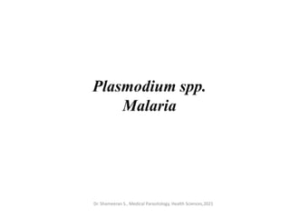 Plasmodium spp.
Malaria
Dr. Shameeran S., Medical Parasitology, Health Sciences,2021
 