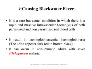 Causing Blackwater Fever
• It is a rare but acute condition in which there is a
rapid and massive intravascular haemolysis of both
parasitized and non parasitized red blood cells
• It result in haemoglobinanemia, haemoglobinuria
(The urine appears dark red to brown-black).
• It can occur in non-immune adults with sever
P.falciparum malaria
Dr. Shameeran S., Medical Parasitology, Health Sciences,2021
 