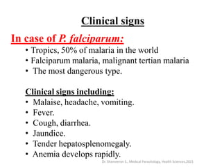 Clinical signs
In case of P. falciparum:
• Tropics, 50% of malaria in the world
• Falciparum malaria, malignant tertian malaria
• The most dangerous type.
Clinical signs including:
• Malaise, headache, vomiting.
• Fever.
• Cough, diarrhea.
• Jaundice.
• Tender hepatosplenomegaly.
• Anemia develops rapidly.
Dr. Shameeran S., Medical Parasitology, Health Sciences,2021
 