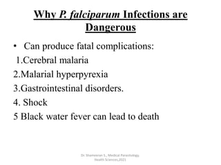 Why P. falciparum Infections are
Dangerous
• Can produce fatal complications:
1.Cerebral malaria
2.Malarial hyperpyrexia
3.Gastrointestinal disorders.
4. Shock
5 Black water fever can lead to death
Dr. Shameeran S., Medical Parasitology,
Health Sciences,2021
 