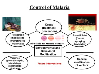 Environmental and
Behavioral
Modification
Genetic
modification
of vectors
Future Interventions
Vaccines
(preerythrocytic,
blood stage,
transmission-
blocking)
Protection
(insecticide-
impregnated
materials)
Drugs
(treatment,
prevention)
Insecticides
(house
spraying,
larvicides)
Control of Malaria
 