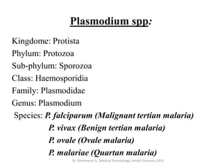 Plasmodium spp:
Kingdome: Protista
Phylum: Protozoa
Sub-phylum: Sporozoa
Class: Haemosporidia
Family: Plasmodidae
Genus: Plasmodium
Species: P. falciparum (Malignant tertian malaria)
P. vivax (Benign tertian malaria)
P. ovale (Ovale malaria)
P. malariae (Quartan malaria)
Dr. Shameeran S., Medical Parasitology, Health Sciences,2021
 