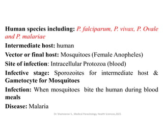 Human species including: P. falciparum, P. vivax, P. Ovale
and P. malariae
Intermediate host: human
Vector or final host: Mosquitoes (Female Anopheles)
Site of infection: Intracellular Protozoa (blood)
Infective stage: Sporozoites for intermediate host &
Gametocyte for Mosquitoes
Infection: When mosquitoes bite the human during blood
meals
Disease: Malaria
Dr. Shameeran S., Medical Parasitology, Health Sciences,2021
 