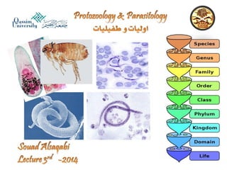 Parasitology lecture 3 