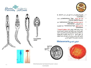 Parasitology lecture 3 