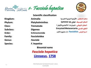 Parasitology lecture 3 
