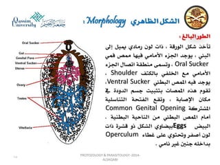 Parasitology lecture 3 