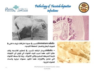 Parasitology lecture 3