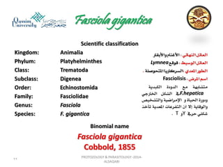 Parasitology lecture 3 