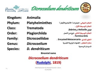 Parasitology lecture 3 