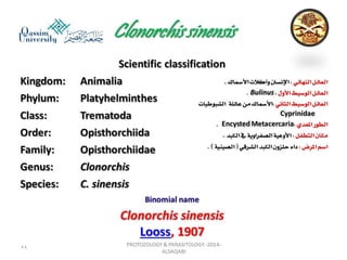 Parasitology lecture 3