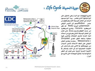 Parasitology lecture 3 