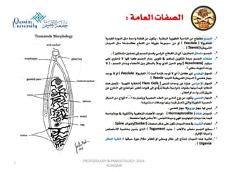 Parasitology lecture 3